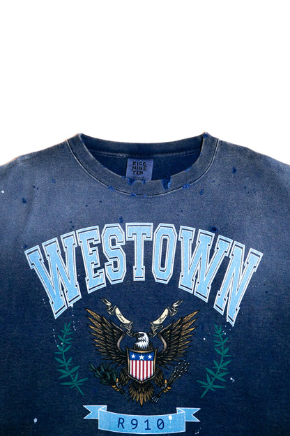 DISTRESSED SWEATSHIRT (FADED NAVY)