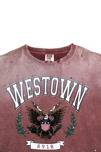 DISTRESSED SWEATSHIRT (FADED RED)